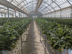 �͂��Ɣ_���̎ʐ^1