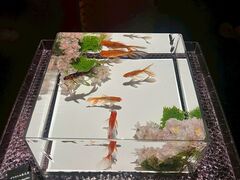 �A�[�g�A�N�A���E�����p�� GINZA�̎ʐ^4