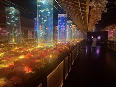 �A�[�g�A�N�A���E�����p�� GINZA�̎ʐ^5