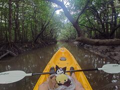 �O�����s���O���]�[�gStarOcean�̎ʐ^1