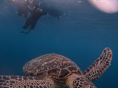 �}�����V���b�vHAPPY�̎ʐ^1