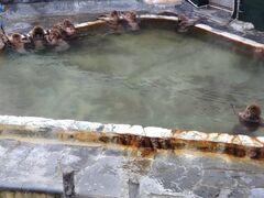 ����n�C���[�̎ʐ^2