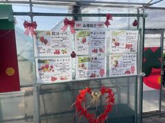 �z���e�B�L�˂̎ʐ^1