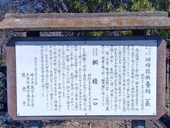 ����������̔����\���̋��{�K�ւ̓��e�ʐ^1