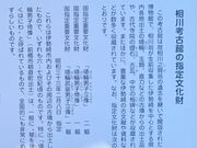 ����������̑���l�Êق̓��e�ʐ^2