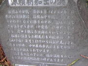 �T���v������̌������D�o�̕l�̓��e�ʐ^1