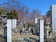 ����������̔����\���̋��{�K�̓��e�ʐ^1