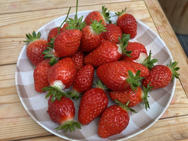 �܂�Ђ�
���̗ʂ�3��撣���ĐH�ׂ܂����B_������Ђӂ�[�ӂ��[�ނ킩���