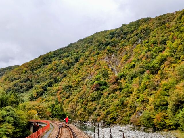 �J�͖h���悤������܂��񂪁A�J�b�p��h���p�̌R�肪�p�ӂ���Ă��܂��B_���[���}�E���e���o�C�N�@�f�����������@�f���I�I