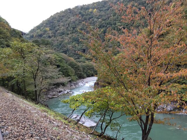 �g�t�̌�����ɂ͏������������ł����A�k�������ł����B_���[���}�E���e���o�C�N�@�f�����������@�f���I�I