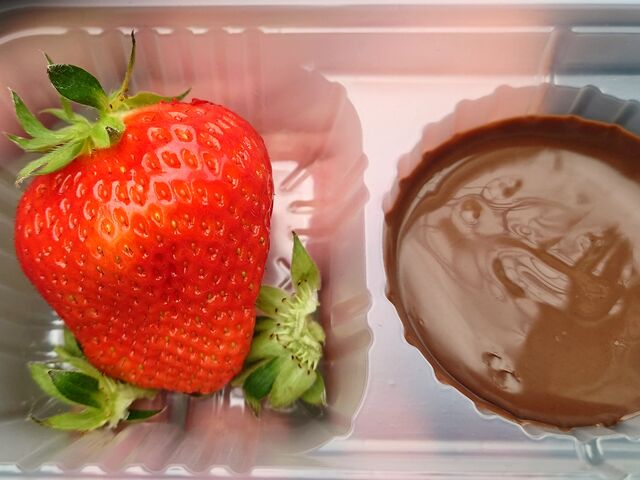 �傫�Ȃ�����_�ό��_�� Bee my Berry