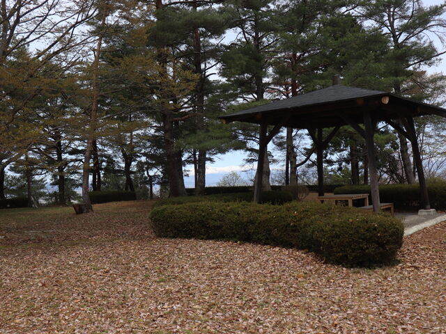 hyde����̔��P�R�̓��e�ʐ^1