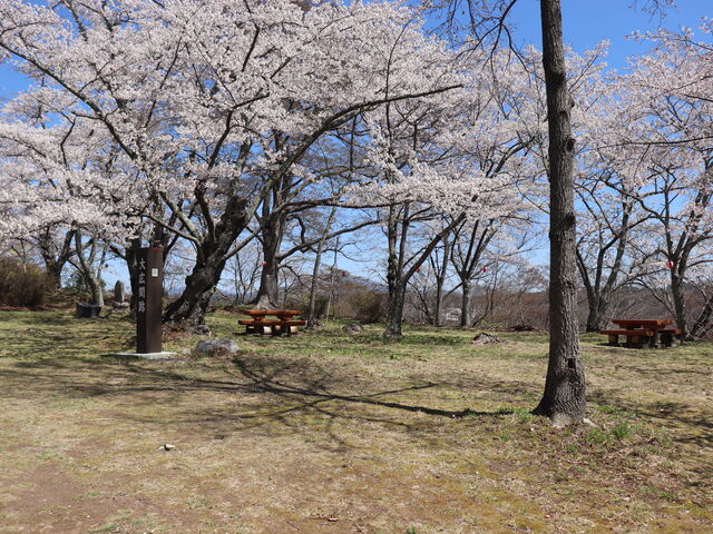 hyde����̏�R�����̓��e�ʐ^1