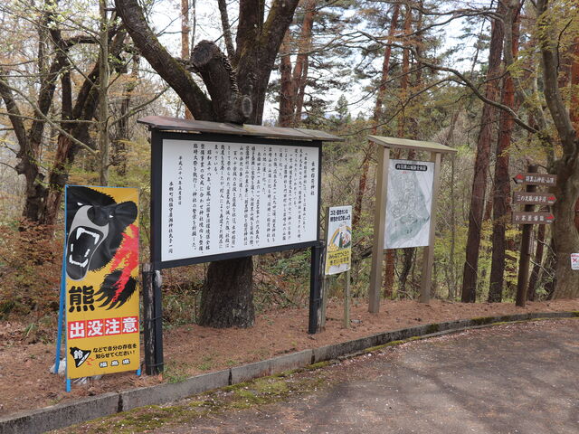 hyde����̔��P�R�����̓��e�ʐ^1