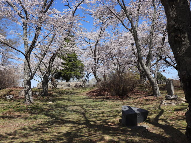 hyde����̏�R�̍��̓��e�ʐ^1