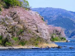 �I�[�~�}�����F���`�̎ʐ^1