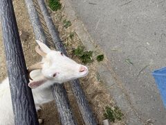 �Q�n�T�t�@���p�[�N�̎ʐ^1