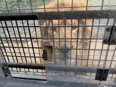 �Q�n�T�t�@���p�[�N�̎ʐ^2