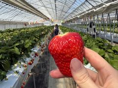 ��|���������̎ʐ^1