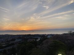 ���ʎj�ՕF����Ղ̎ʐ^1