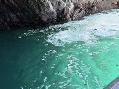 �ԉ��G�R�c�[���Y���̎ʐ^1