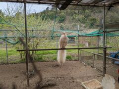 �����Y�ӂꂠ���ǂ��Ԃ��̎ʐ^1