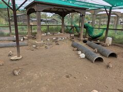 �����Y�ӂꂠ���ǂ��Ԃ��̎ʐ^2