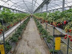 �܌j�r�ӂ�`���̎ʐ^1