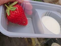 �܌j�r�ӂ�`���̎ʐ^3