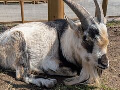 �ߐ{�ǂ��Ԃ����̎ʐ^1