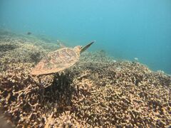 ����}�����X�^�W�I�̎ʐ^1