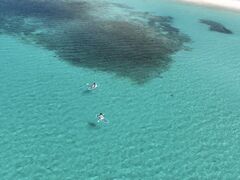 OKIDOKI�}�����c�A�[�{�Ó��̎ʐ^1