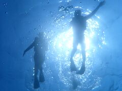 �}�����K�C�h�C��(����Ԃ�)�̎ʐ^1