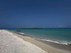 �}�����K�C�h�C��(����Ԃ�)�̎ʐ^3