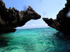 �}�����K�C�h�C��(����Ԃ�)�̎ʐ^4