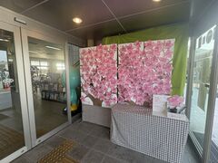 4�l�̂��[����񂳂�̒��Ԏs�ό��܂��Â��苦�c��ւ̓��e�ʐ^1