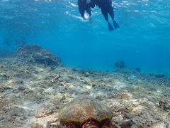 Nami�{�Ó��̎ʐ^1