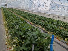 �����_���̎ʐ^1