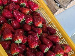 �����_���̎ʐ^2