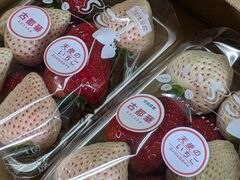 �����_���̎ʐ^3