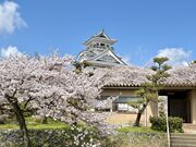 �݂Ȃ���񂳂�̖L�����̂�����̓��e�ʐ^1