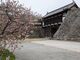 hidepo����̉��É��ւ̓��e�ʐ^3