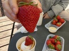 ����t�@�[���̎ʐ^1
