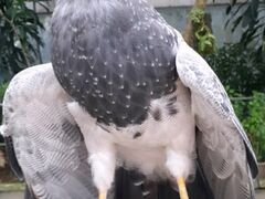 ���]�t�H�[�Q���p�[�N�̎ʐ^1