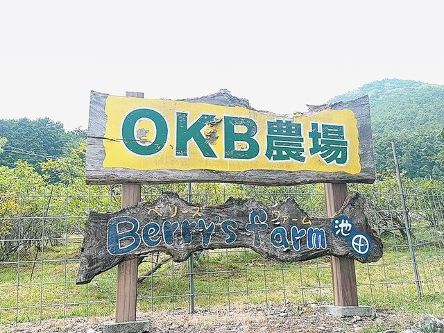 ����_OKB�_�� Berry's farm �r�c