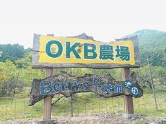 OKB�_�� Berry's farm �r�c�̎ʐ^1