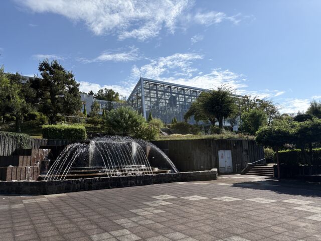 ��񂿂�񂳂�̕ۓ������̓��e�ʐ^3