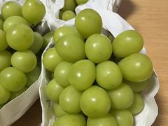 �A���h�t���[�c �����Ԃǂ����̎ʐ^1