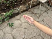 �؂؂���̊ې��z�������Ԋق̓��e�ʐ^1