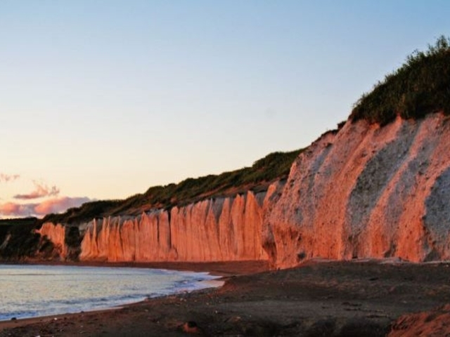 �ꐣ�C�݁u�V���t���v